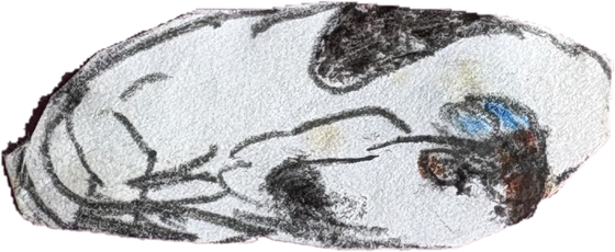 Bethy's first painting — her dog Connie, a childhood paper cut-out