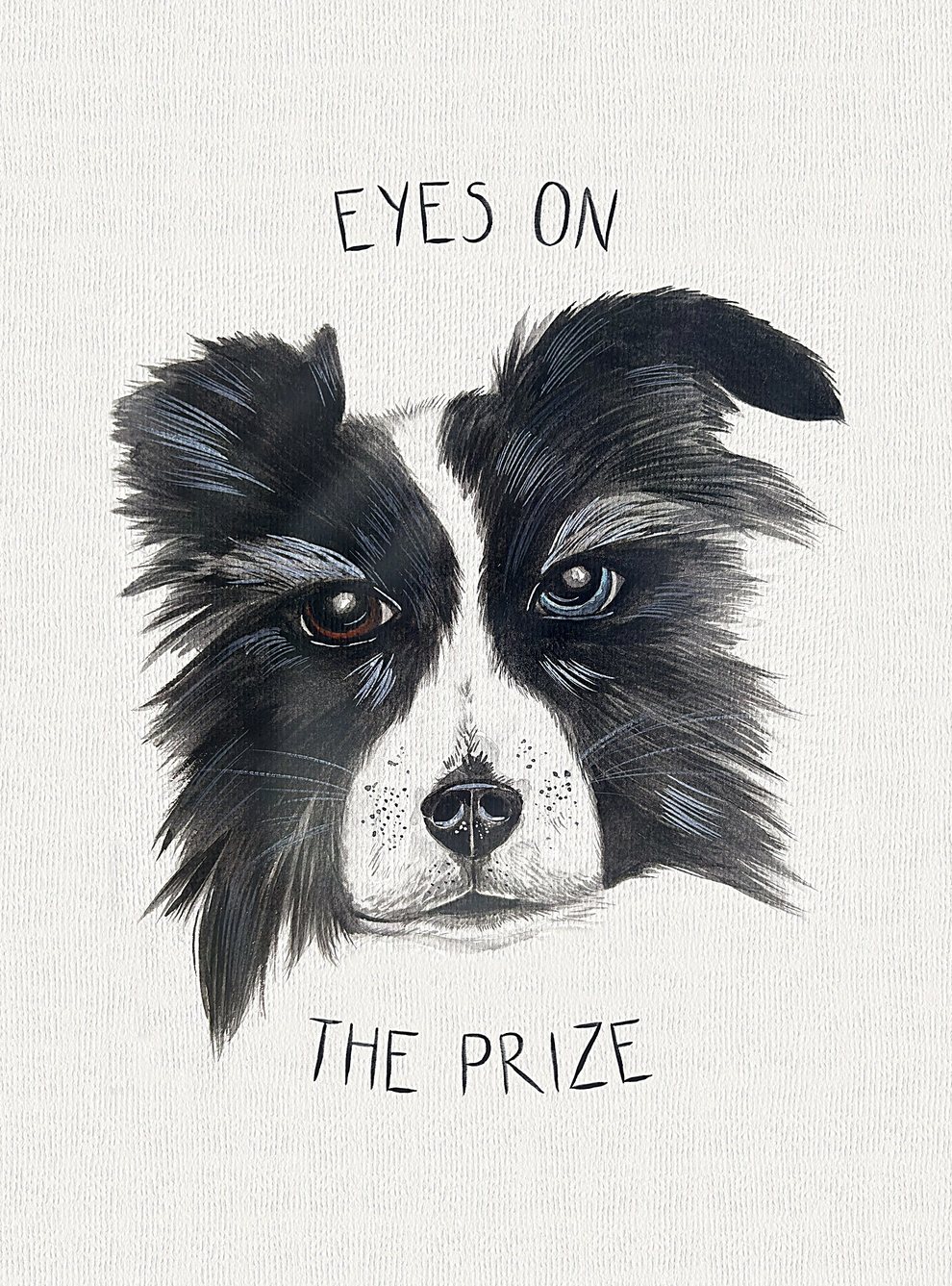 Watercolour painting: Border Collie (Black & White)