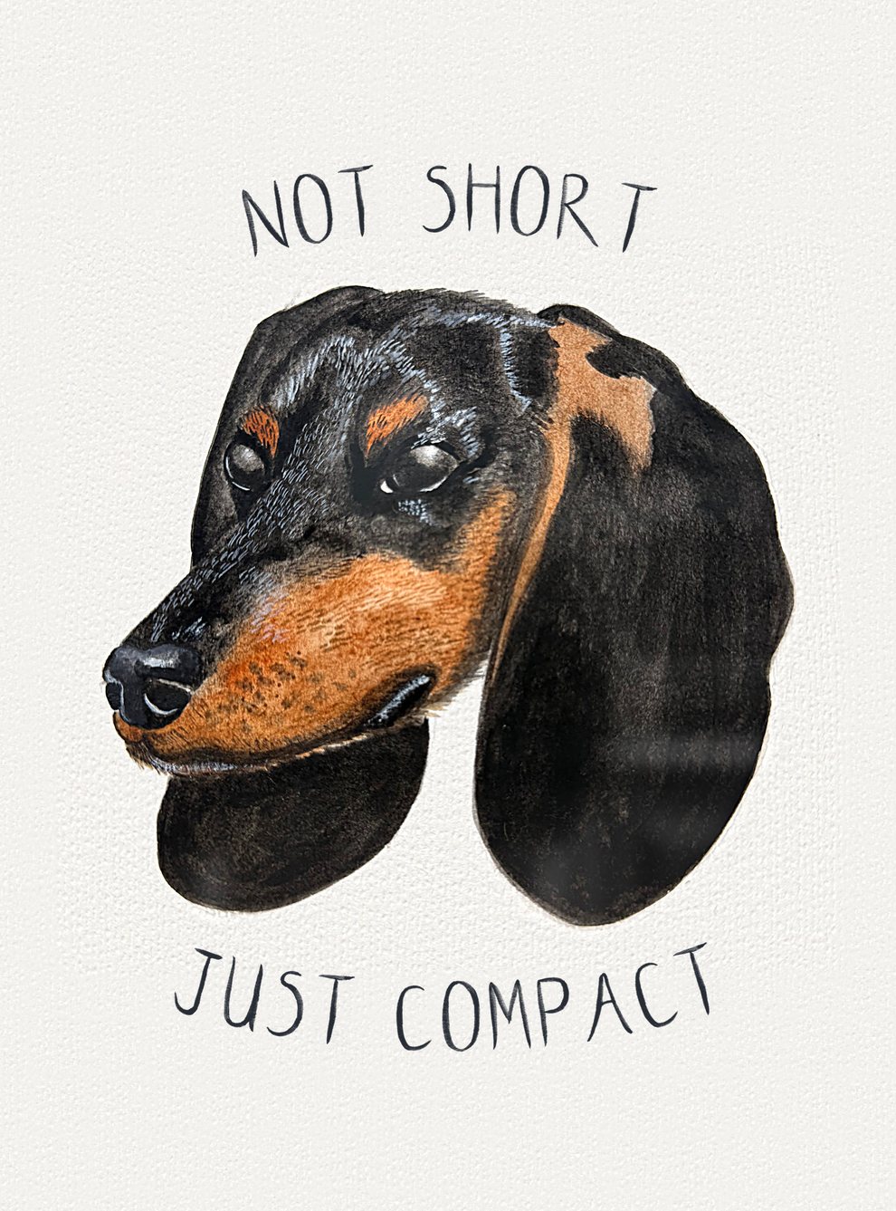 Watercolour painting: Dachshund