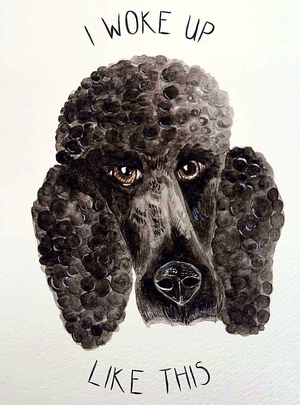 Watercolour painting: Poodle