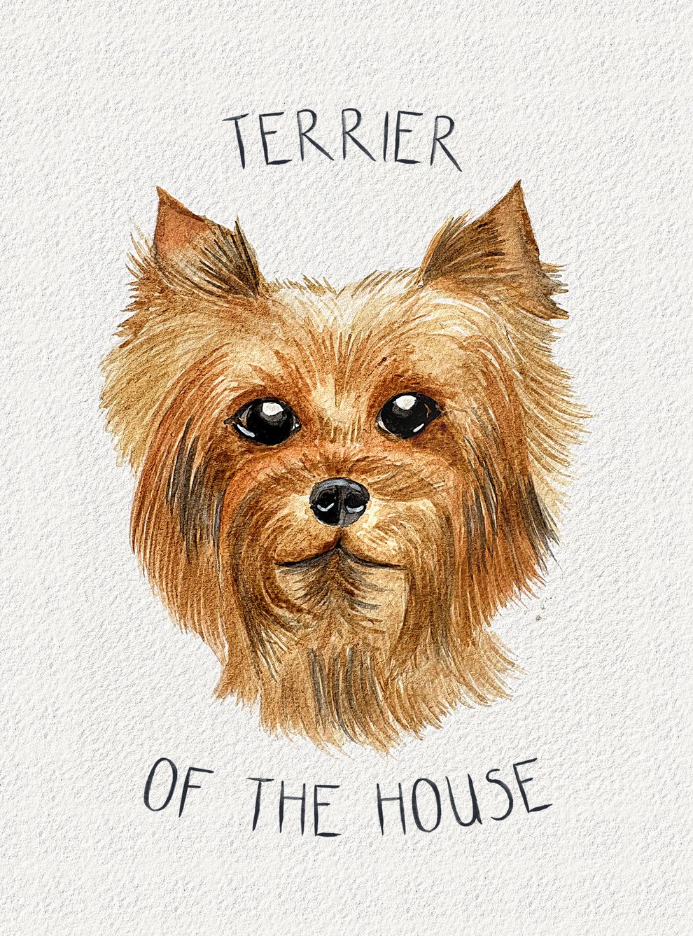 Watercolour painting: Yorkshire Terrier