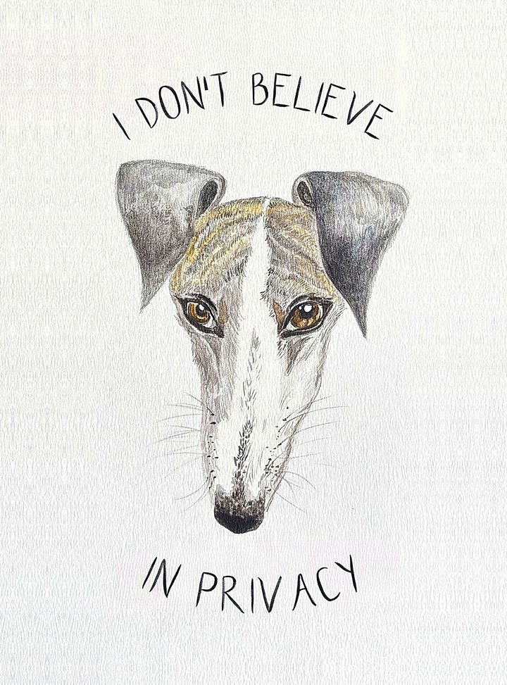 Unframed whippet watercolour print