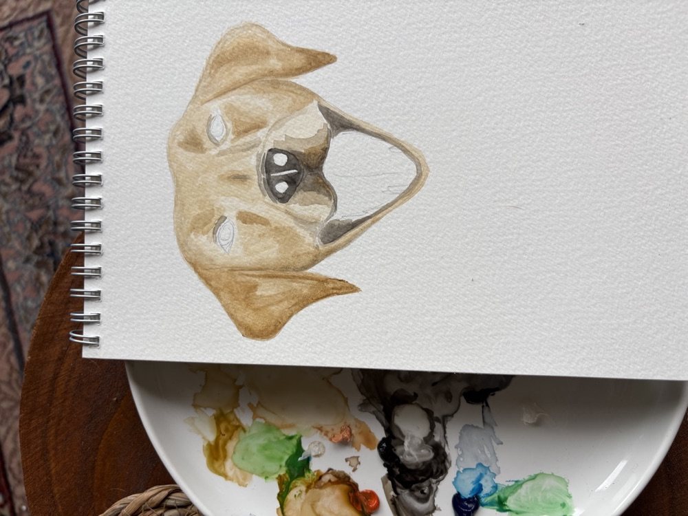 Deeper watercolour layers building up the muzzle and markings