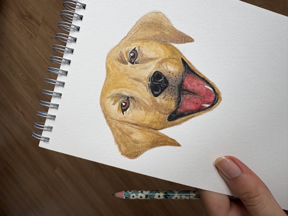 The finished yellow Labrador watercolour portrait held up by hand