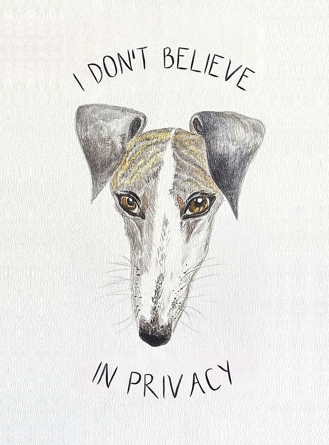Watercolour painting: Whippet