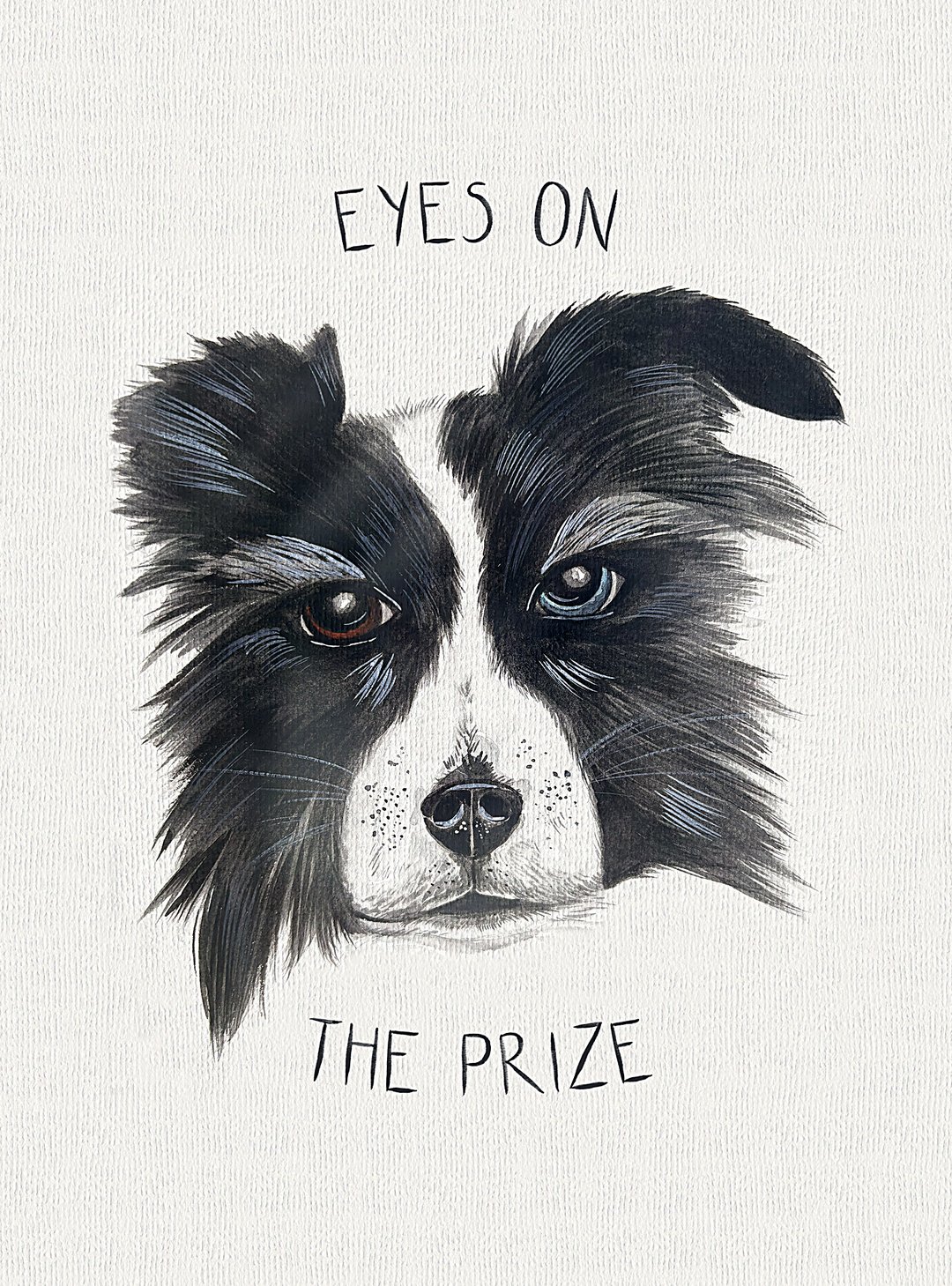 Watercolour painting: Border Collie (Black & White)