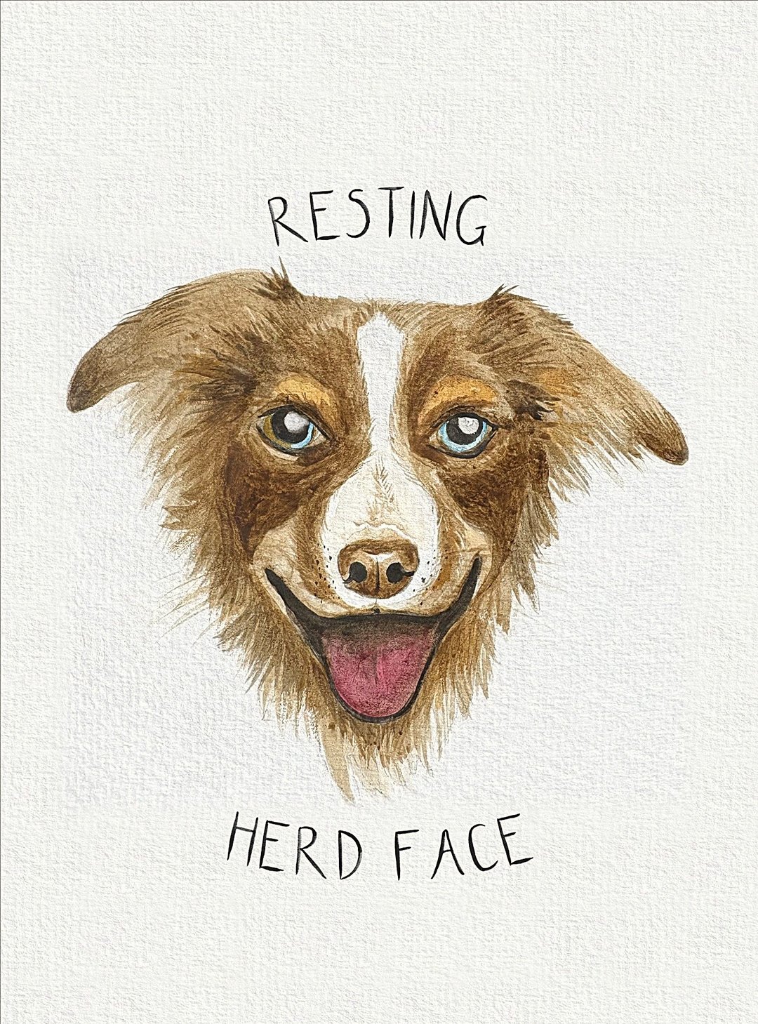 Watercolour painting: Border Collie