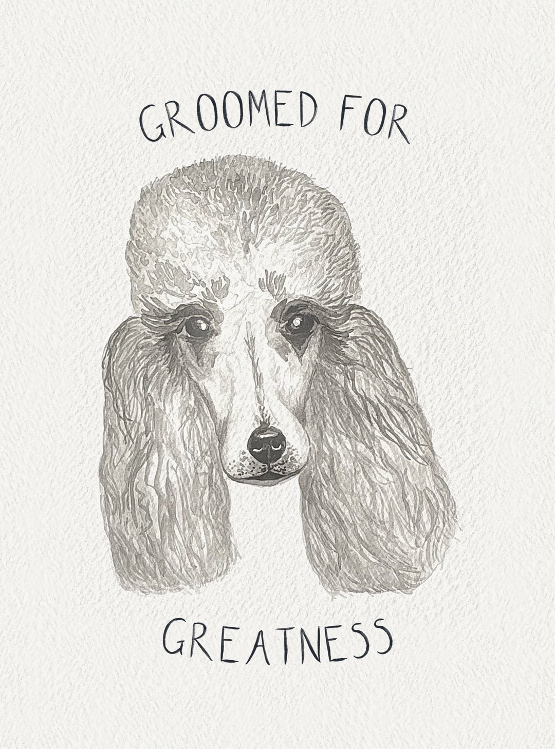Watercolour painting: Poodle (Silver)