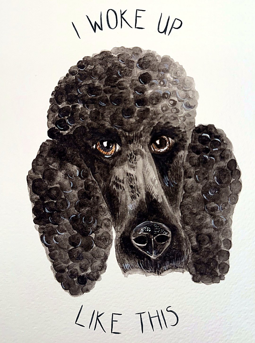 Watercolour painting: Poodle