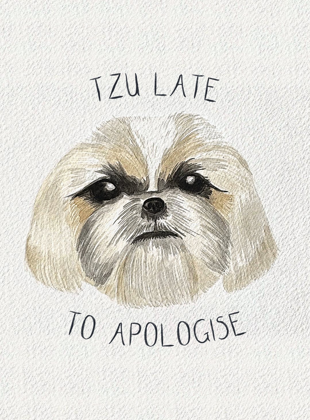 Watercolour painting: Shih Tzu
