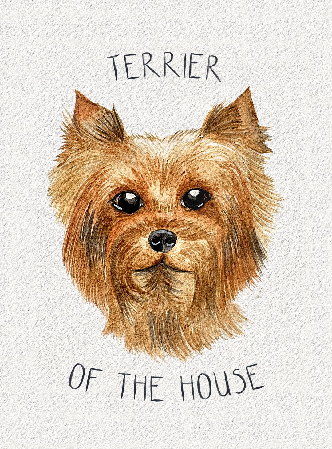 Watercolour painting: Yorkshire Terrier